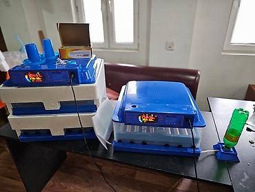 İnkubatorlar: 100 yumurta, Çin, Fabrik istehsalı, Tam avtomat, Bütün növ quşlaq üçün — 18
