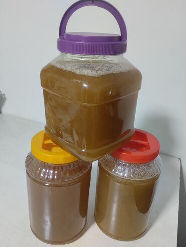 продам мед: Продаю мед натуральный горный из Узгена в банке 4 кг Цена за кг 500