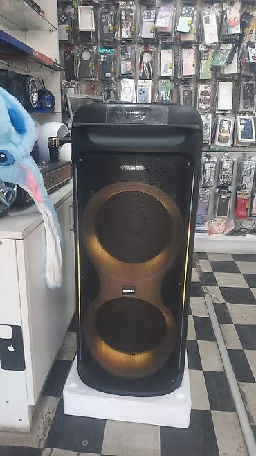 12v akumulator: Gənwoo GD-2102 portativ akustik sistem - Güc: 100W - Giriş — 2