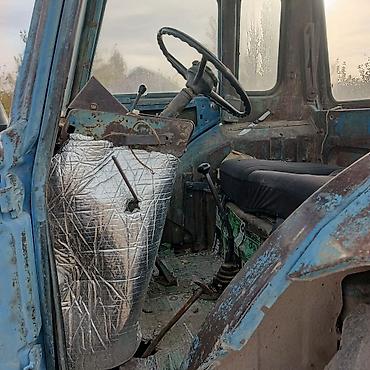 Капуста: Капуста — 7