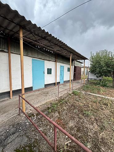 участок долинка: Продается пол дома с большим участком по первой линии в с.Заречное ( — 3