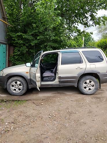 mazda tribute машина: Mazda Tribute: 2003 г., 0.3 л, Автомат, Бензин, Кроссовер — 7