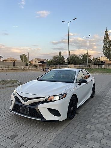 crown 2015: Toyota Camry: 2019 г., 2.5 л, Автомат, Бензин, Седан — 3