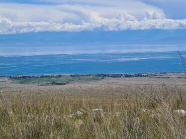 жер пригородный: 500 соток, Красная книга, Тех паспорт, Договор купли-продажи