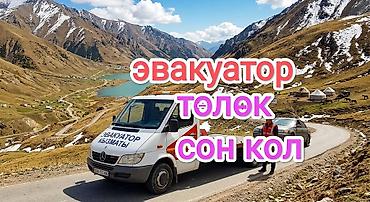 С лебедкой