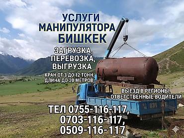 bud e9: Стрела 10 м, 3 т, Борт 10000 кг — 1