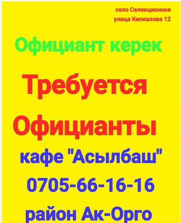 официант кара балта: Талап кылынат Официант Тажрыйбасыз, Төлөм Күнүмдүк