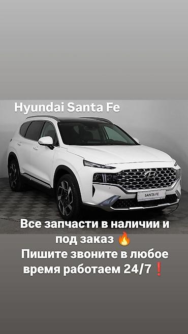 ноускат hyundai santa fe: Запчасти для Hyundai Santa Fe - Полный ассортимент деталей: кузовные — 1