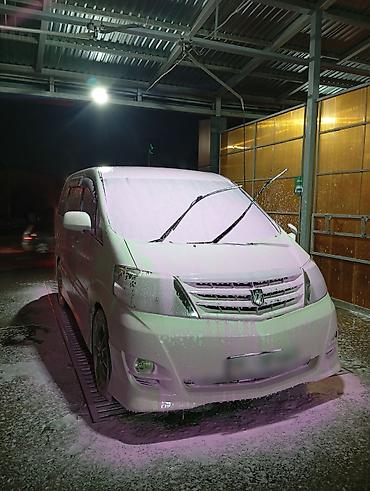 Toyota: Toyota Alphard: 2006 г., 3 л, Автомат, Бензин, Минивэн — 1