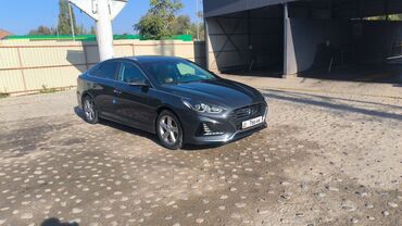 Hyundai: Hyundai Sonata: 2018 г., 2 л, Автомат, Бензин, Седан — 2