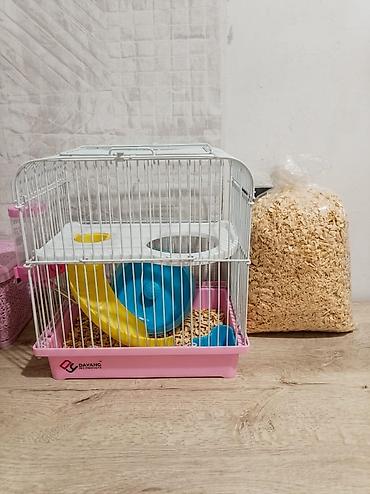 heyvan evleri: Hamster üçün qəfəs dəsti - Brend: Dayang Pet Products - Rəng: çəhrayı — 1