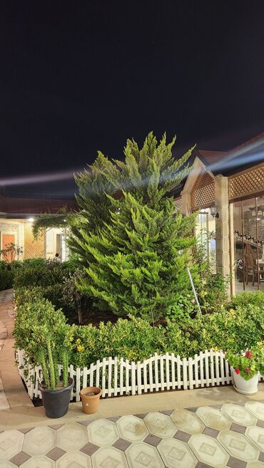 Bağ evlərinin kirayəsi: Şüvəlan qəs., 195 kv. m, 4 otaqlı, Hovuzlu, Qaz, İşıq, Artezian quyusu -da lalafo.az — 29 Bağ evlərinin kirayəsi: Şüvəlan qəs., 195 kv. m, 4 otaqlı, Hovuzlu, Qaz, İşıq, Artezian quyusu — 29