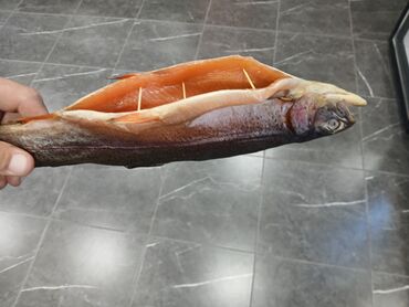 Рыба и морепродукты: Свежий — 26