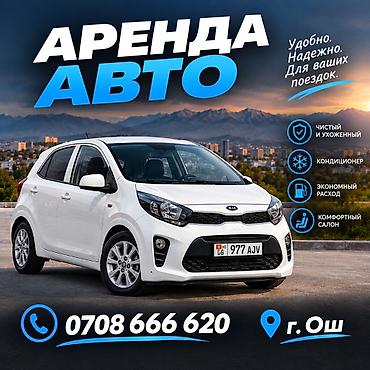 265 50 19: Сдаю Kia Picanto, Посуточно, Без водителя — 1