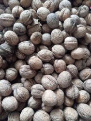 уголь каракече бешсары шабыркуль каражыра доставка бишкек купить: Продается грецкие орехи