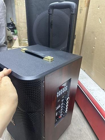 hoco eq34 plus: Портативная акустическая система SS-2 (10"+3") с подсветкой Основные — 3