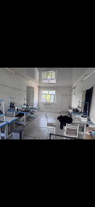 уровневая: 1200 м², 6 комнат и более, Молодая Гвардия, Без животных — 5