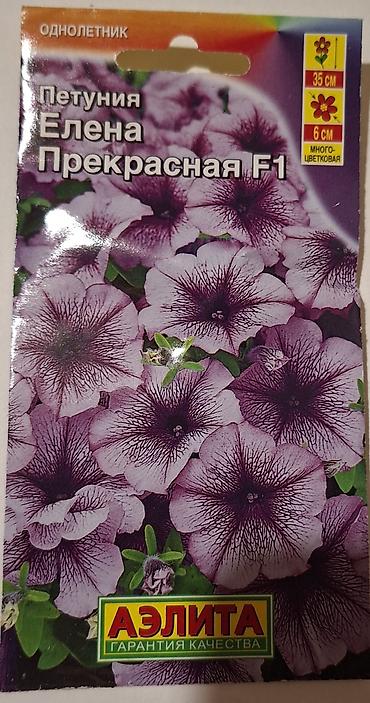 tut agaci calaq: Məhsul: Petuniya toxumları – AELITA (garantiya keyfiyyəti), bəzi — 6