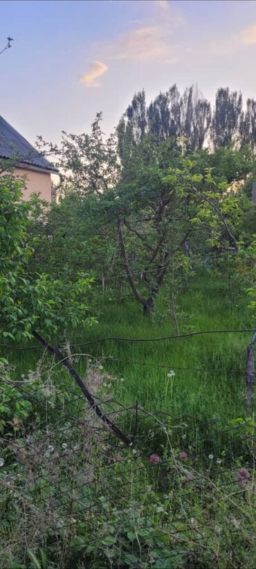Другие товары для дома и сада: Продаю участок. с Восток. 5 соток. Яблоневый сад. $55000 номер at lalafo.kg Другие товары для дома и сада: Продаю участок. с Восток. 5 соток. Яблоневый сад. $55000 номер