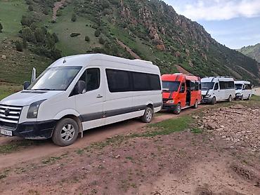 rex sprinter: Пункт назначения: Все направления, Лицензия №: 00В005392 — 1