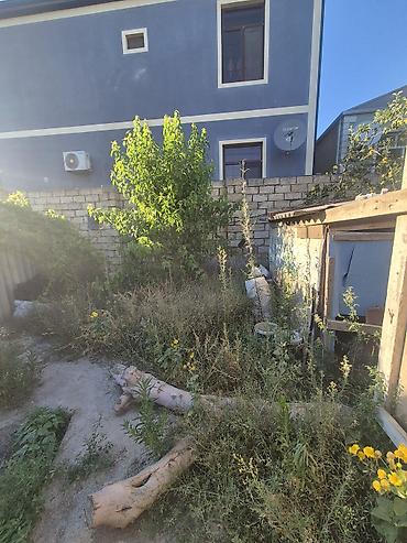 torpaq kreditle: 17 sot, Tikinti, Maklerlər narahat etməsin, Kupça (Çıxarış) — 8