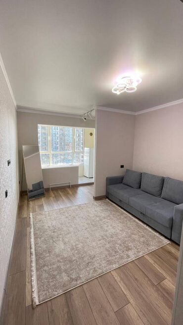 Продажа квартир: 1 комната, 26 м², 106 серия улучшенная, 5 этаж, Евроремонт