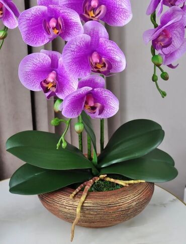 Декоративные цветы: Орхидея искусственная для декора в керамическом горшке Орхидея — 3