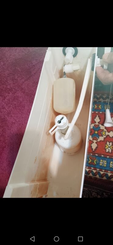 Çanaqlar, tülpanlar: Yeni Çanaq, Keramika, Zəmanətli, Pulsuz çatdırılma — 24