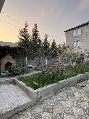 Həyət evləri və villaların satışı: 7 otaqlı, 340 kv. m, Kredit yoxdur, Yeni təmirli — 76