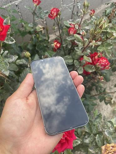 iphone 17 plus: IPhone 13 Pro, Б/у, 128 ГБ, Sierra Blue, Чехол, 80 % — 2