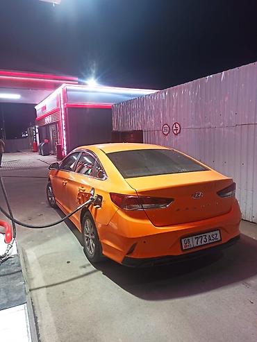 Hyundai: Hyundai Sonata: 2018 г., 2 л, Автомат, Бензин, Седан — 4