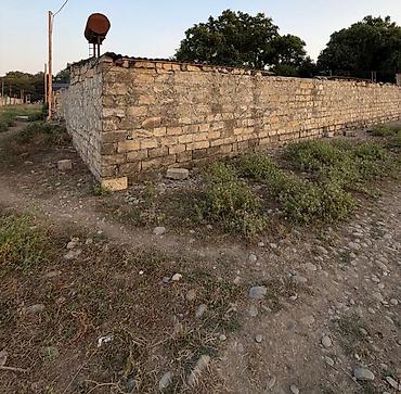 Torpaq sahələrinin satışı: Kənd təsərrüfatı, Mülkiyyətçi -da lalafo.az — 3 Torpaq sahələrinin satışı: Kənd təsərrüfatı, Mülkiyyətçi — 3