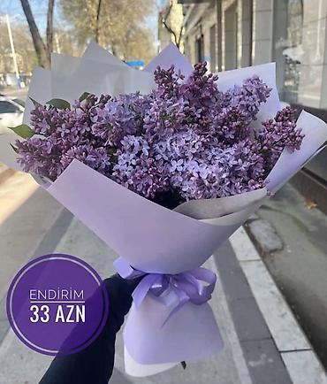 sakura gülü: 8 Mart üçün xüsusi gül kompozisiyası – şəffaf kvadrat qutuda qırmızı — 1