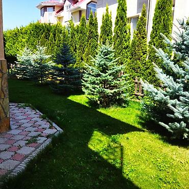 Продажа коттеджей и домов: Продаётся просторный двухэтажный (+обустроенный цокольный этаж) — 5