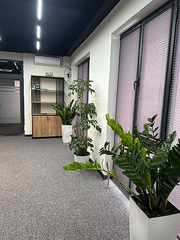 Продажа офисов: Продается Коммерческое помещение с ремонтом ЖК Ак ниет СК Кут at lalafo.kg — 3 Продажа офисов: Продается Коммерческое помещение с ремонтом ЖК Ак ниет СК Кут — 3