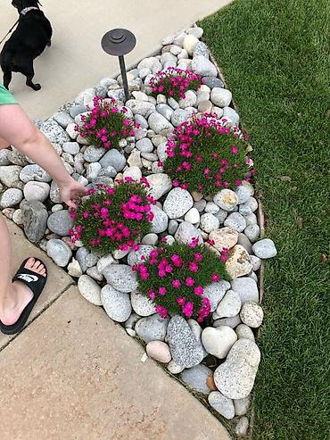 Удобрения и садовая химия: Удобрение — 11