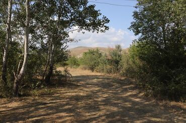 Torpaq sahələrinin satışı: 2000 sot, Tikinti, Mülkiyyətçi, Kupça (Çıxarış), Bələdiyyə -da lalafo.az — 10 Torpaq sahələrinin satışı: 2000 sot, Tikinti, Mülkiyyətçi, Kupça (Çıxarış), Bələdiyyə — 10