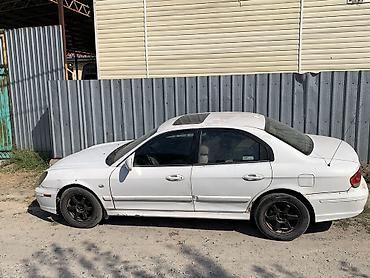 byd qin plus салон: Hyundai Sonata: 2004 г., 2.4 л, Автомат, Бензин, Седан — 3