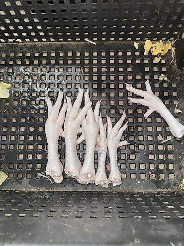 Продаю чищенные бройлерные куринные лапки Только оптом от 80кг — 3