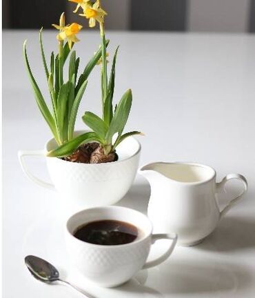 Digər süfrə qabları: Çay fincanı və nəlbəki 240 ml 6li -da lalafo.az — 5 Digər süfrə qabları: Çay fincanı və nəlbəki 240 ml 6li — 5