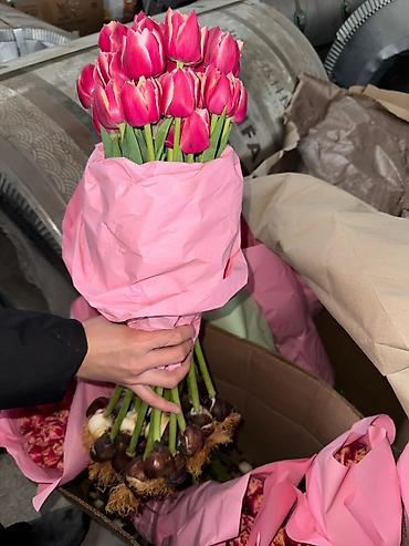 Букеты из живых цветов: Тюльпаны с луковицей Оптом | В розницу - Свежие тюльпаны с крупным — 4