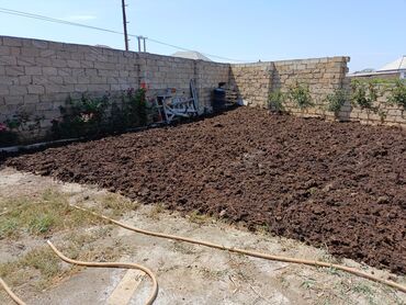Torpaq sahələrinin satışı: 6 sot, Tikinti, Makler, Bələdiyyə — 2