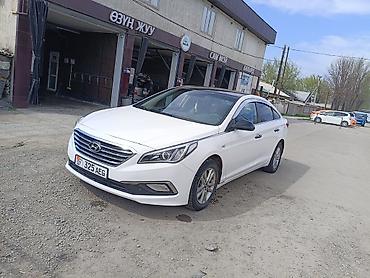 sonata dn: Hyundai Sonata: 2018 г., 2 л, Автомат — 2