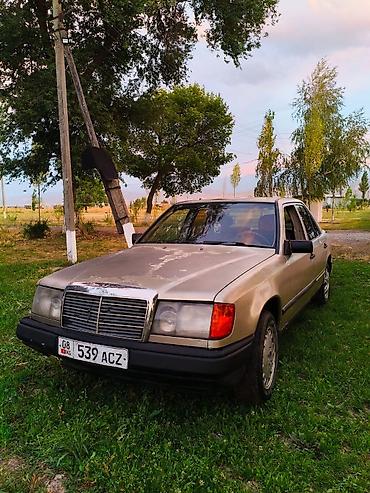 kirgiz auto: Mercedes-Benz W124: 1988 г., Седан — 2