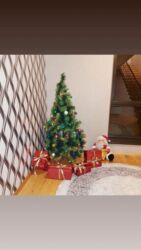 Xonçalar: Satılır Yolka (Yeni il ağacı) boy: 1.80 sm Komplekt: - Saxta Baba