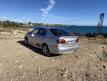 300 000: Nissan Primera: 2001 г., 1.8 л, Механика, Бензин, Седан — 4