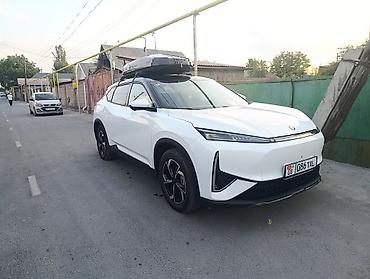 byd han ev: Zeekr : | 2026 г. Кроссовер — 1