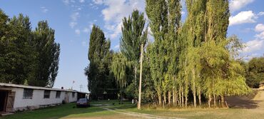 Сельхоз предприятия: Продается Кашара Фермерское- хозяйство с действующим бизнесом и с — 2