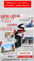 частный дом в бишкеке: Туристические услуги