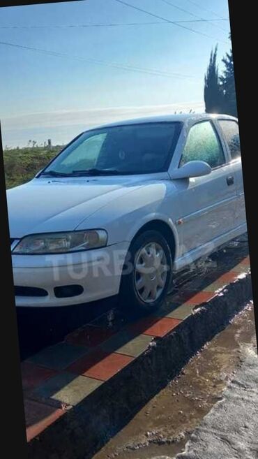 Opel: Opel Vectra: 1.8 l | 2000 il 27400 km Sedan — 7